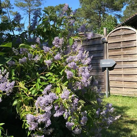 Escale Sous Les Pins Holiday home